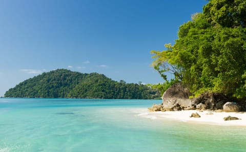 Snorkeling Day Trip to Surin Islands from Khao Lak