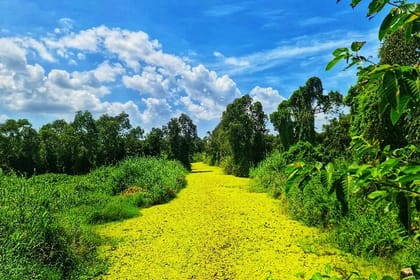 U Minh Thuong National Park Deep Exploration