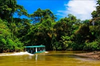 Puerto Limon Sloth Lovers and Tortuguero Canal Shore Excursion 2