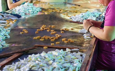 Mekong Delta Food and Culture Tour from Ho Chi Minh City
