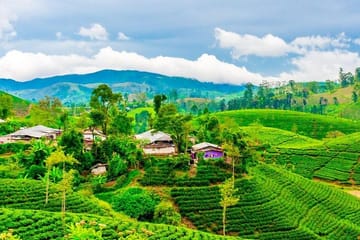 Two-Day Scenic Train and Car Tour in Nuwara Eliya, Sri Lanka