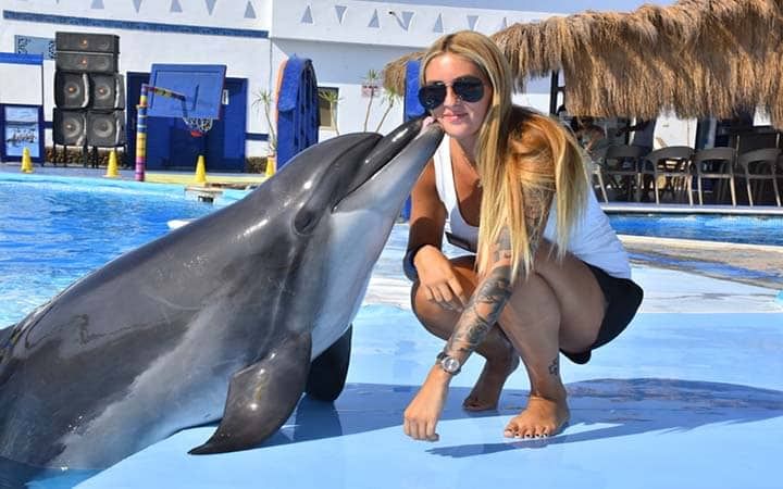 Dolphin Show in Sharm El Sheikh