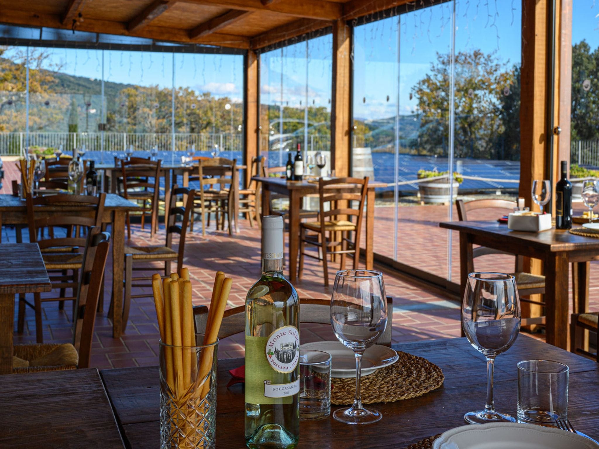 Wine Tasting with Local Food Pairing near Livorno