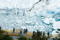 Perito Moreno Glacier - CALAFATE (Footbridges and Navigation) 6