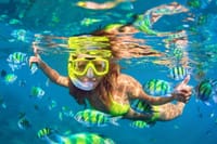 Grand Cayman 3-Stop Adventure: Stingray City & Reef Snorkeling 3