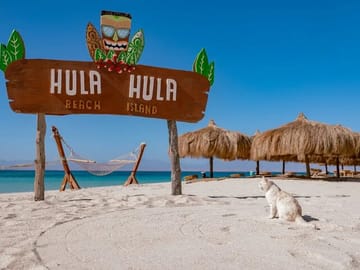 Snorkeling and Introductory Diving at Hula Hula Paradise Island, Hurghada