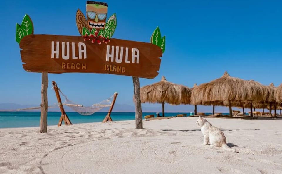 Snorkeling and Introductory Diving at Hula Hula Paradise Island, Hurghada