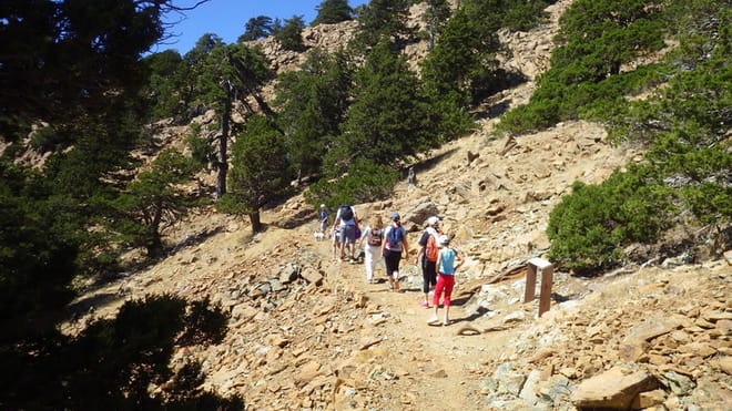 Old Kakopetria and UNESCO Agios Nicolaos tis Stegis with Optional Troodos Walk (Private Tour from Larnaca) photo 4