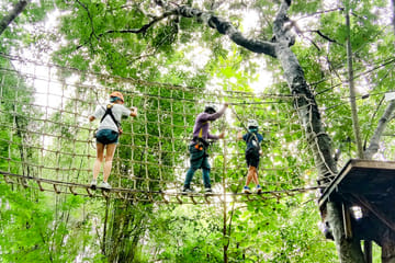 Family-Friendly Adventure Tour at Phoenix Adventure Park, Mae Raem