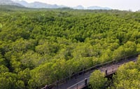 Mangrove Forest Park Nature Trail and River Boat Ride to Khao Daeng Mountain with Private Guide 10
