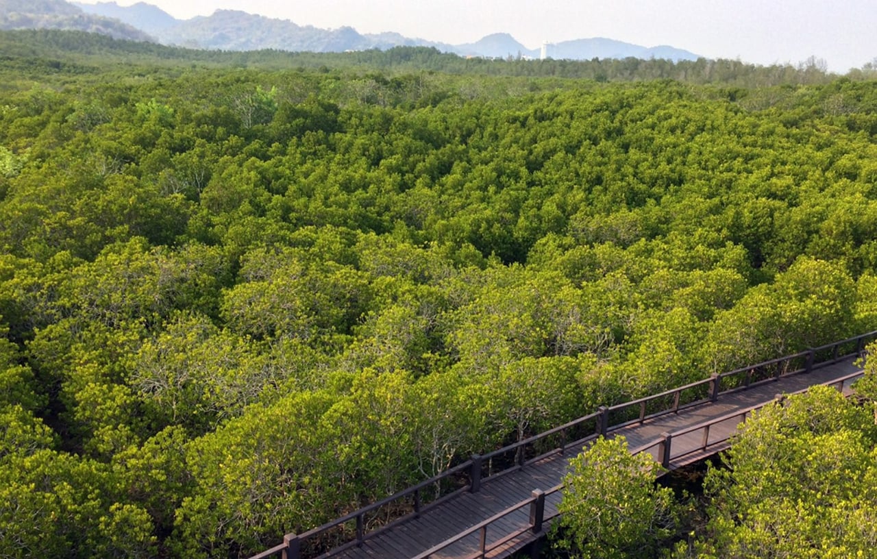 Mangrove Forest Park Nature Trail and River Boat Ride to Khao Daeng Mountain with Private Guide 10