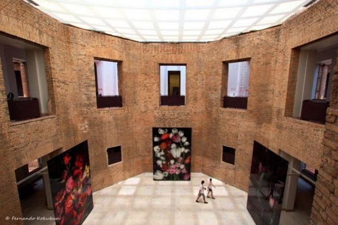 Best Museums of São Paulo Combined with a Panoramic Sightseeing 8