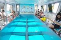 Water Sports Adventurous Day Out Trip in Sharm El Sheikh 6