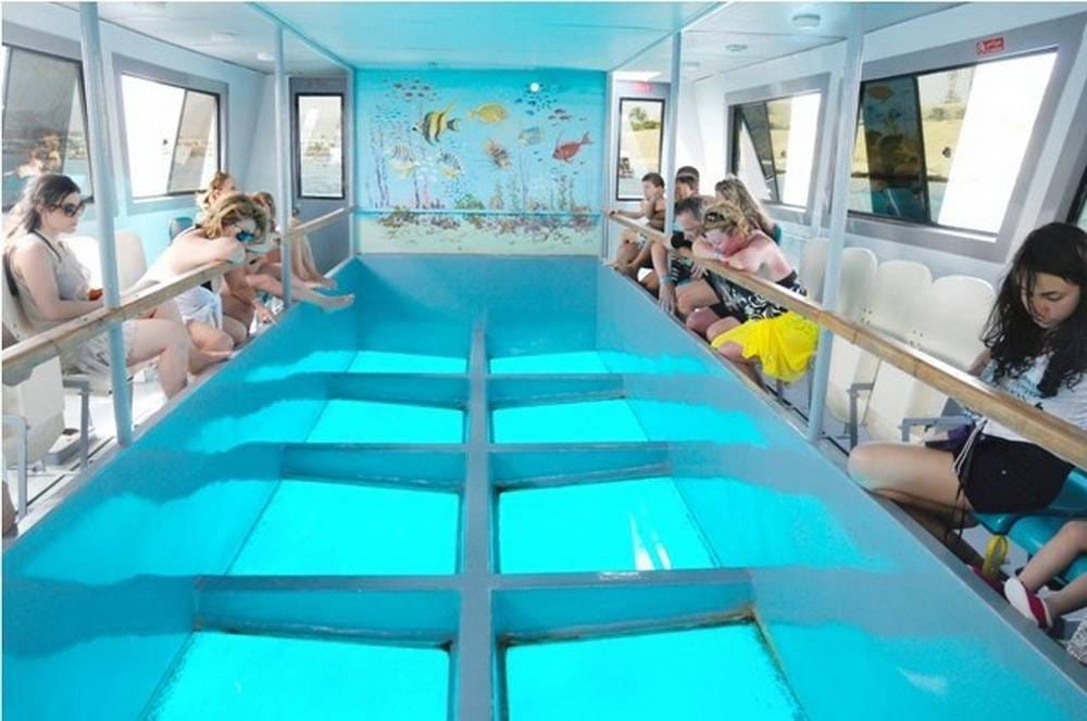 Water Sports Adventurous Day Out Trip in Sharm El Sheikh 6