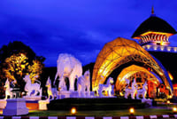 Chiang Mai Day or Night Safari Park 8