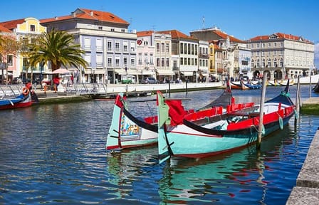 Coimbra & Aveiro Full Day Private Tour from Porto