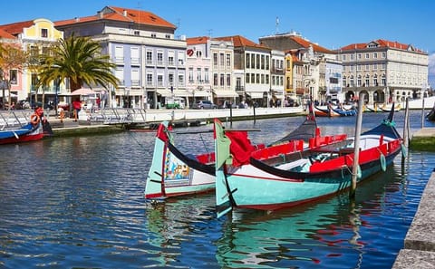 Private Full Day Tour of Coimbra and Aveiro from Porto