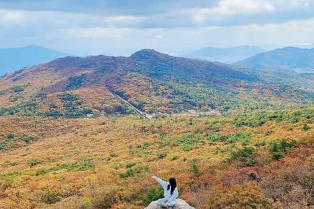 Private Busan Hiking Tour: Scenic Views and Cultural Connection