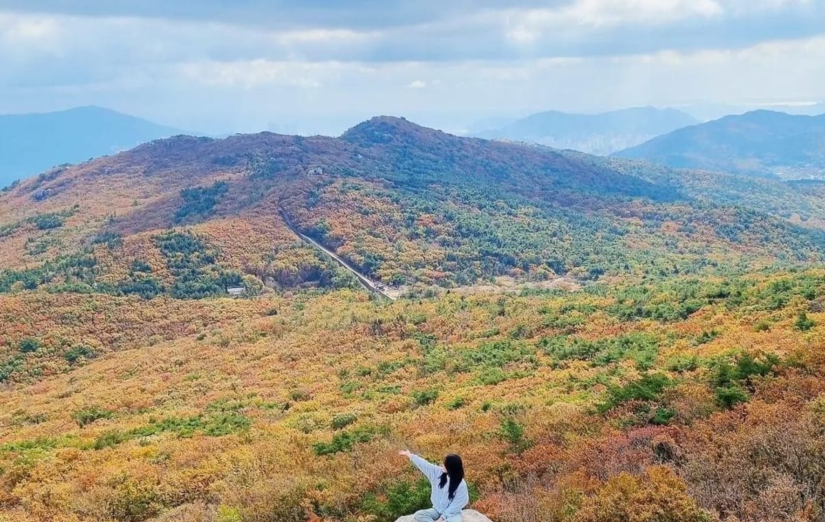 Busan Private Hiking Tour : Panoramic Views Awaits