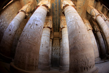 Dendera Temple and Abydos Day Trip from Safaga