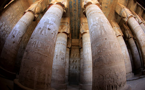 Dendera Temple and Abydos Day Trip from Safaga
