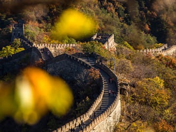 13-Day Cultural and Panda Tour in Beijing and Chengdu