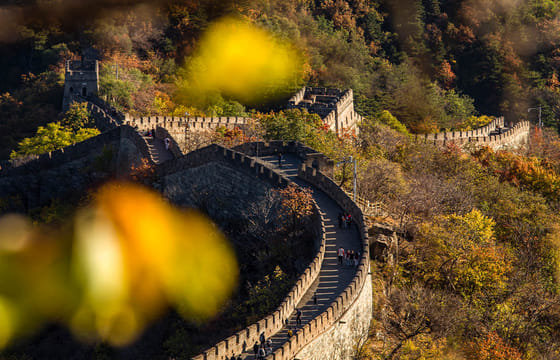 13-Day Cultural and Panda Tour in Beijing and Chengdu