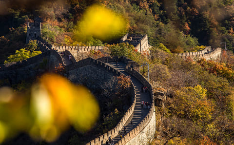 13-Day Cultural and Panda Tour in Beijing and Chengdu