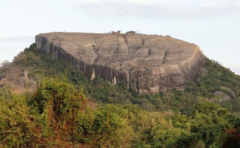 Pidurangala Rock Day Tour from Anuradhapura to Dambulla
