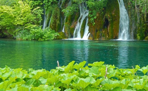 Day Trip to Plitvice Lakes National Park from Split