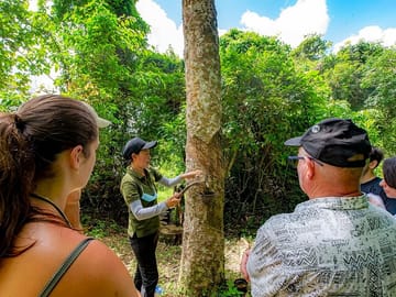 2 Hours - Phuket Ethical Elephant Nature Park Visit
