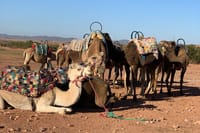 Agafay Desert Camel Ride - Half Day Trip - private tour  2