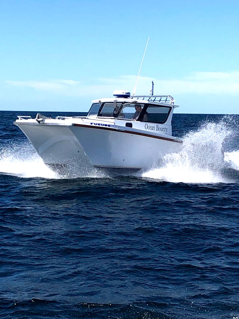 Adventure sets sail on the Ocean Bounty in False Bay.
