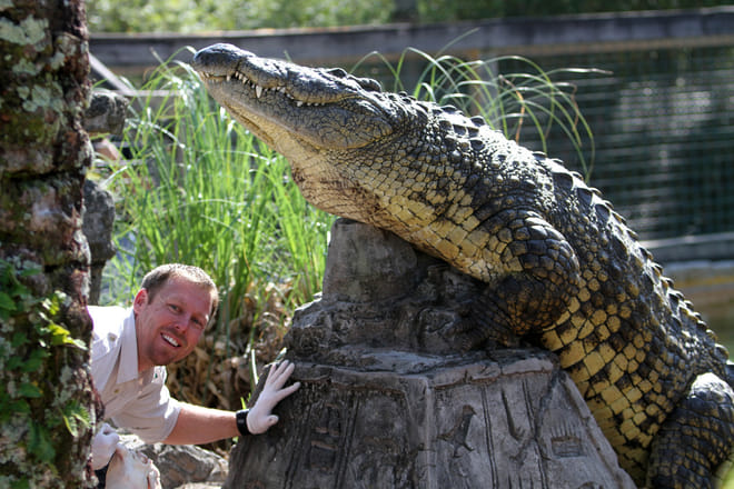 Go Orlando Explorer Pass photo 6