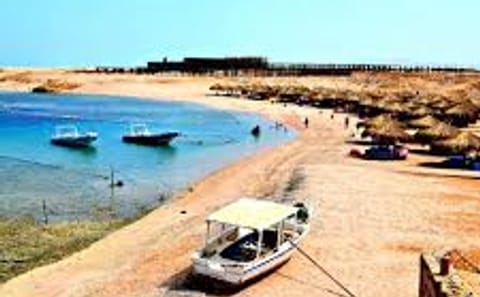 Snorkeling Adventure at Sharm El-Naga from Hurghada