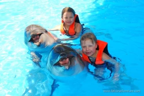 Dolphin Magic Show and Swim options in Sharm El Sheikh
