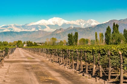4-Days of Adventure at Mendoza – Beauty & Adrenaline