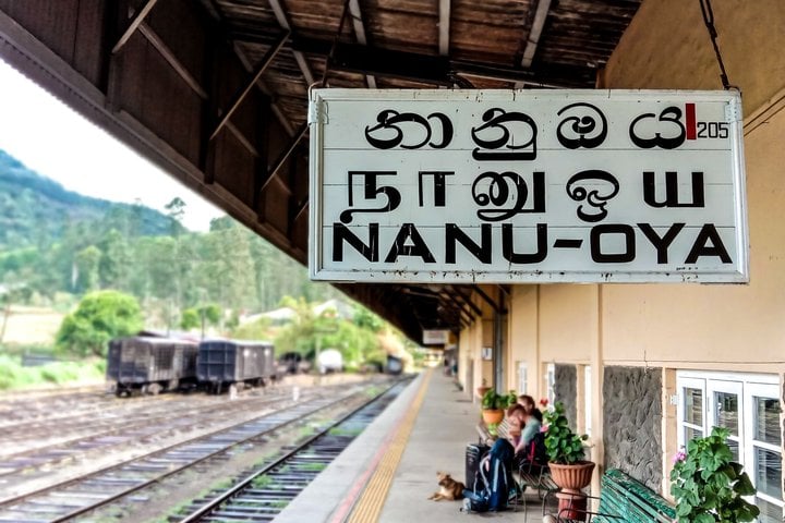 Nanu Oya Railway Station — replace with your chosen station photo