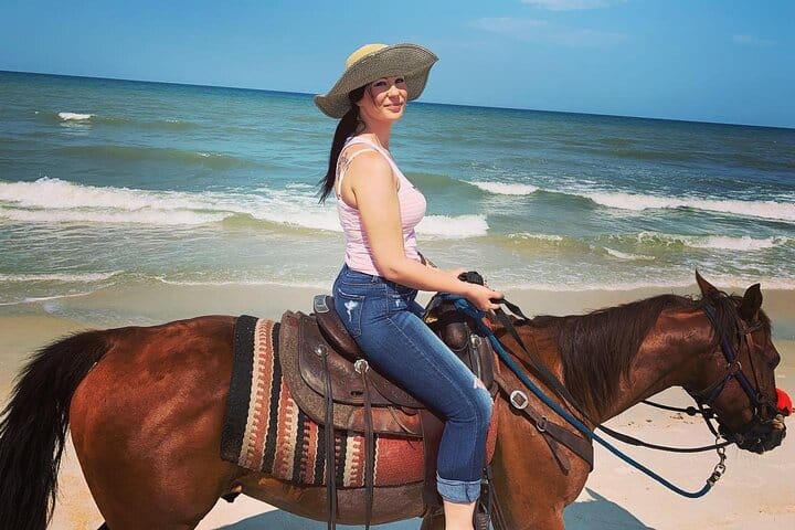 3-Hour Swim with Horses Experience in Hurghada