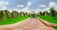 Dubai Butterfly Garden Tickets