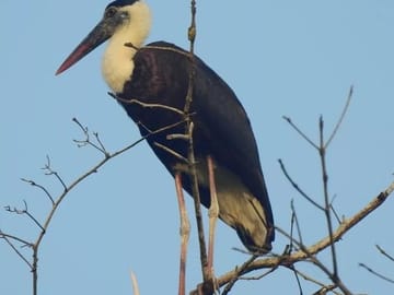 3-Day Private Guided Adventure in Ujung Kulon National Park