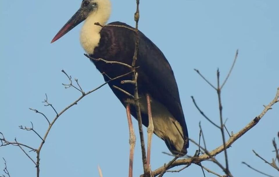 3-Day Ujung Kulon National Park Private Guided Tour