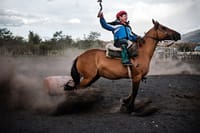 To be a true gaucho, a horseman needs one hand free for the rebenque, the traditional riding, fighting, and punishing whip of the Argentinian gaucho.
