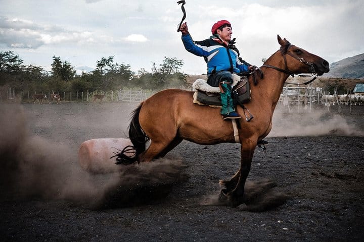 To be a true gaucho, a horseman needs one hand free for the rebenque, the traditional riding, fighting, and punishing whip of the Argentinian gaucho.