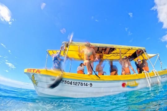 Cozumel Cruise Excursion: Private Speedboat for 8-12