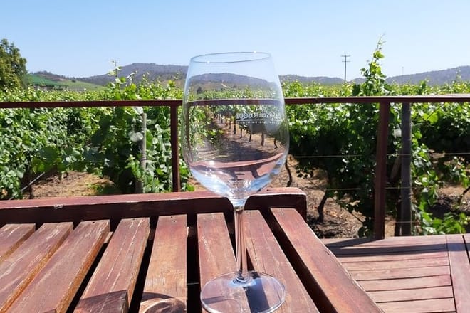 Full day private tour Isla negra poetry and wine from Santiago 8