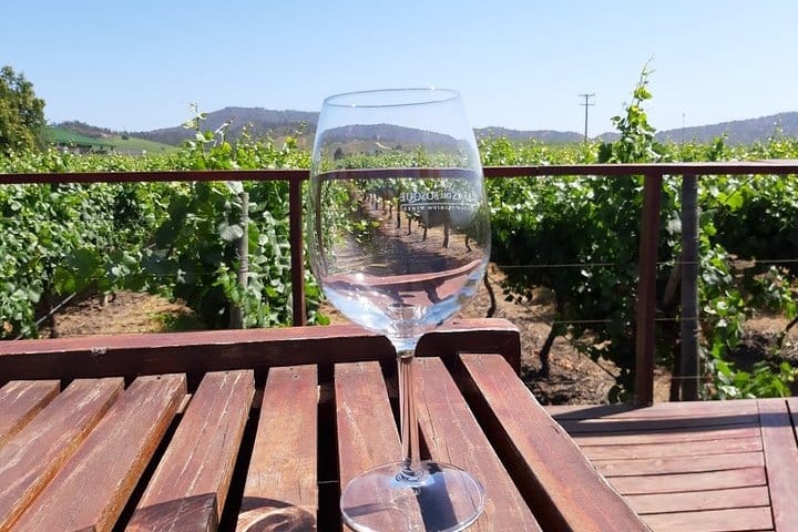 Full day private tour Isla negra poetry and wine from Santiago 8