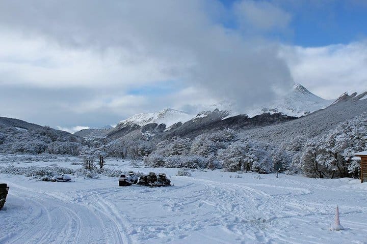 Sled Experience in Ushuaia