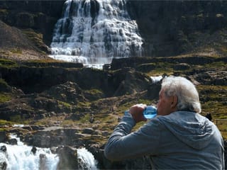 Dynjandi Waterfall, Fishing Village, and Bird Sanctuary , photo 7