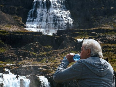 Dynjandi Waterfall, Fishing Village, and Bird Sanctuary , photo 7
